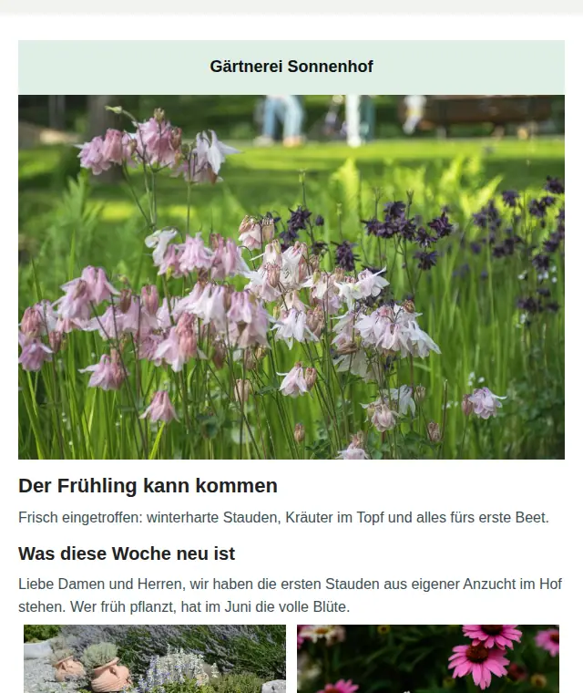 Animation: dieselbe Mail in vier Farb-Themes, Kopfzeile und Knöpfe wechseln die Farbe